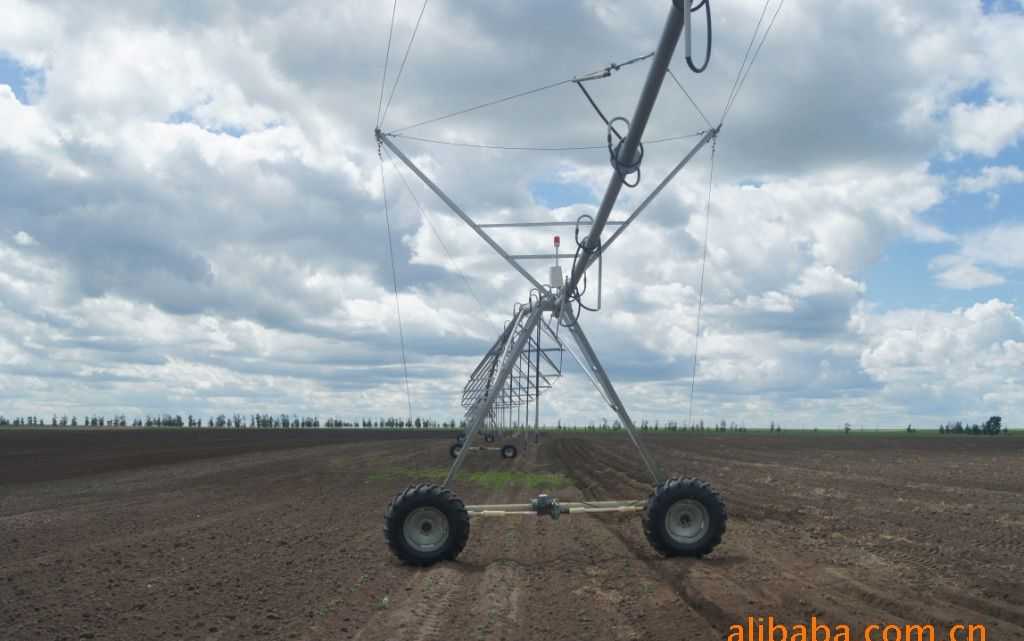 ��������O(sh��)������